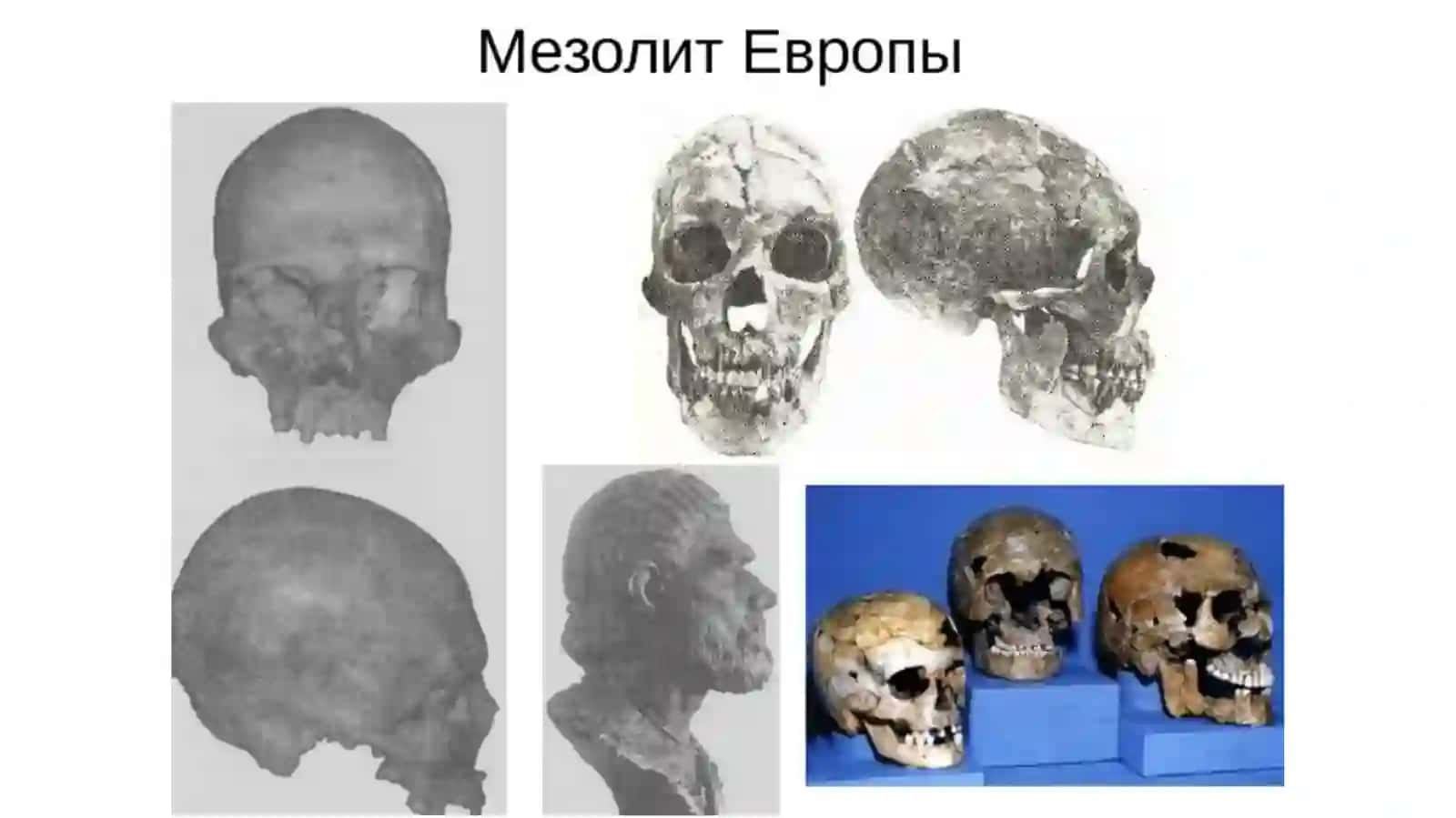 Mezolit davri arxeologiyasi 4