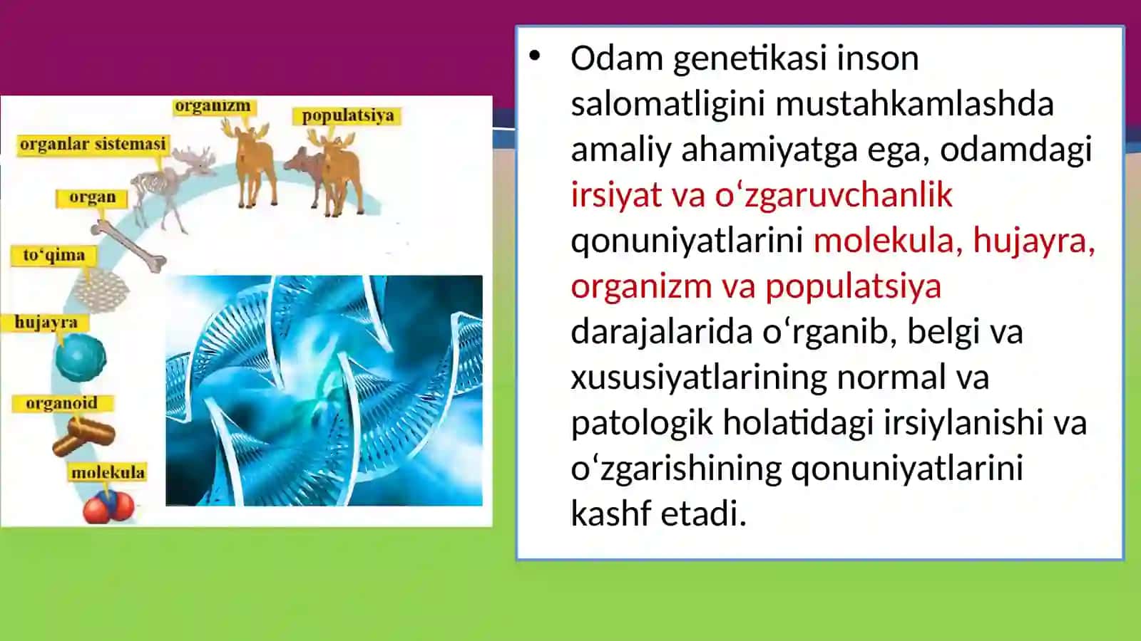 Genetikavainsonsalomatligi 4