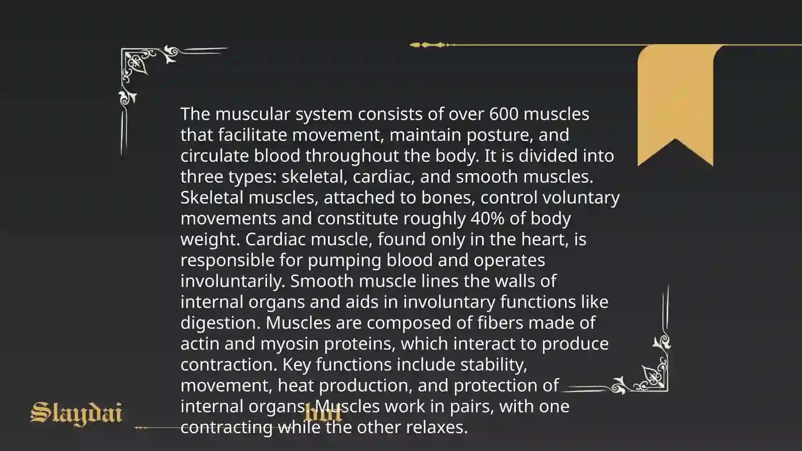 System of the Human Body 4