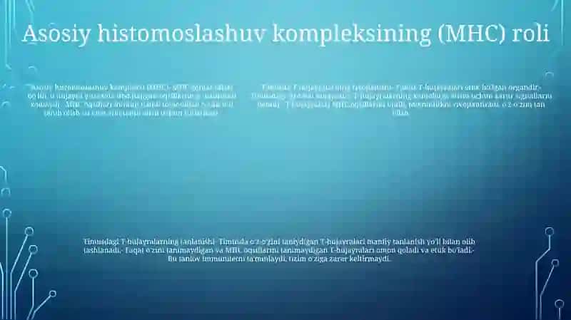 Timusdagi T-Limfositlarning Yetilish Jarayoni 4