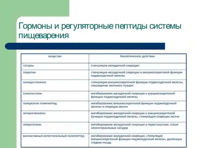 Патофизиология системы пищеварения 4