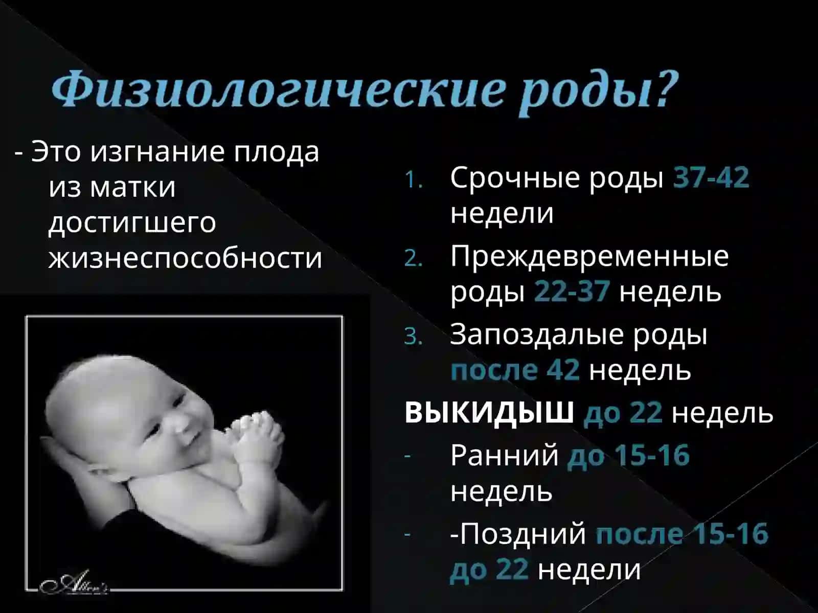 Базальная децидуальная оболочка 4