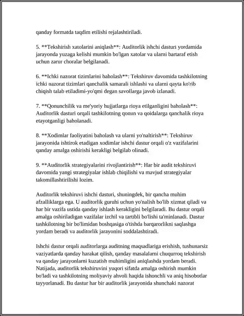 AUDITORLIK TEKSHIRUVI ISHCHI DASTURI 4