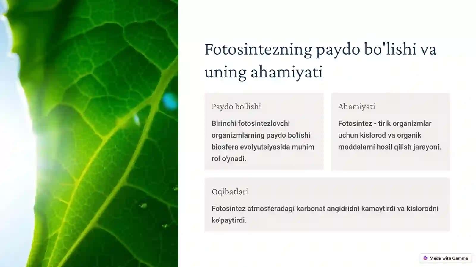 Biosfera evolyutsiyasi 4