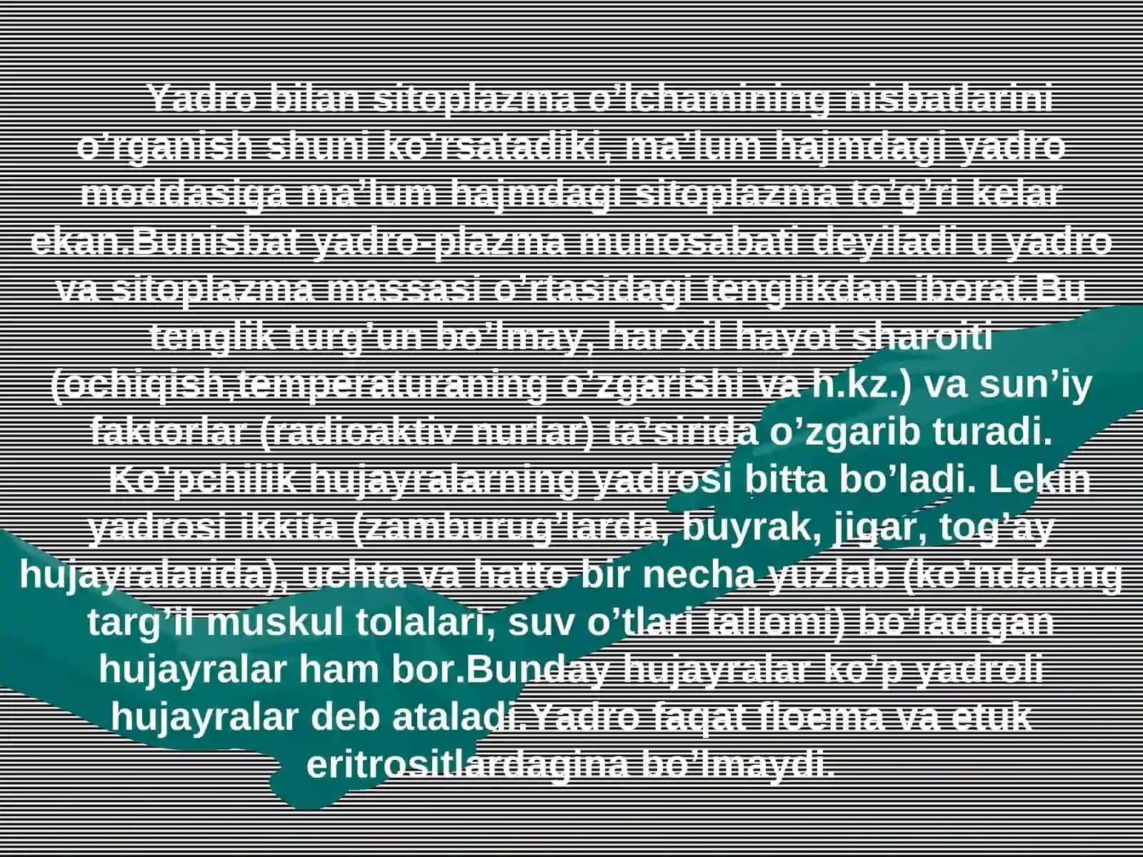 Hujayra yadrosi. Yadrocha 4