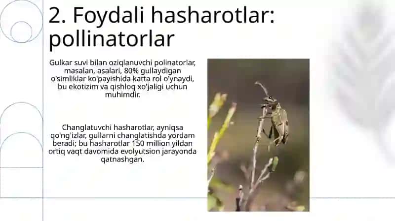 Foydali va zararli hasharotlar 4
