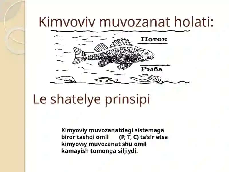 Kimyoo’qitishmetodikasita’limyo’nalishi4-Aguruhtalabasi 4