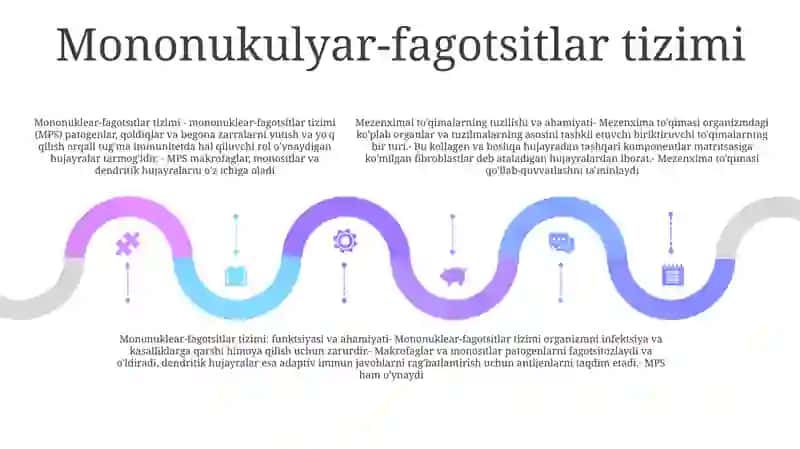 Mezenximaning Tuzilishi Va Ahamiyati 4