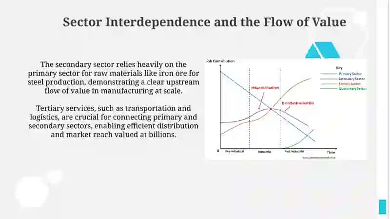 The different sectors of economy 4