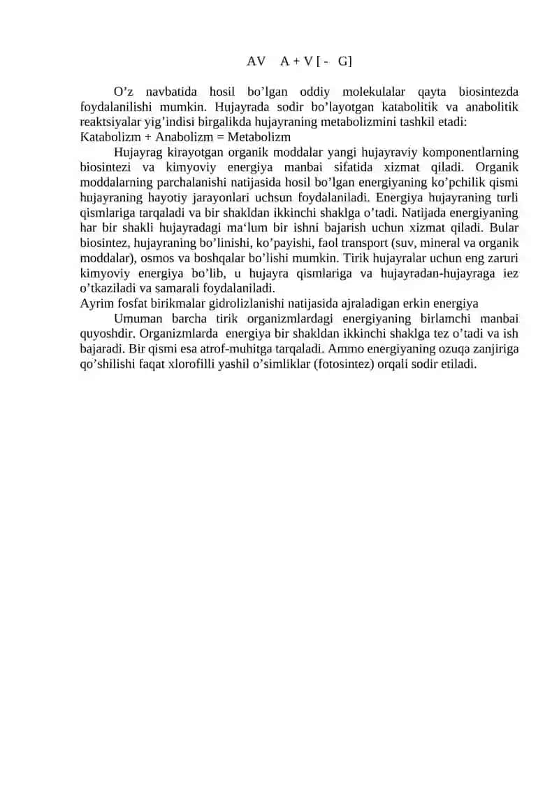 Bioenergetika 4
