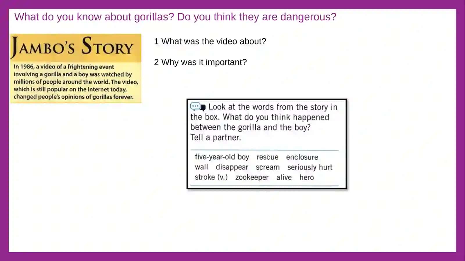 Gorillalar haqida nimalarni bilasiz? 4