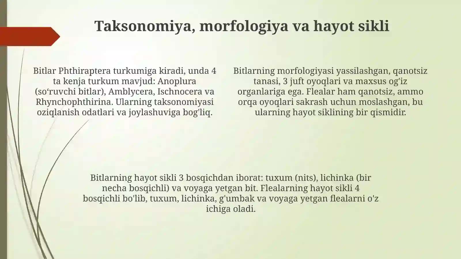 Bit va burgalar turkumi 4