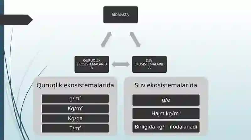 EKOTIZIMLARNING MAHSULDORLIGI 4