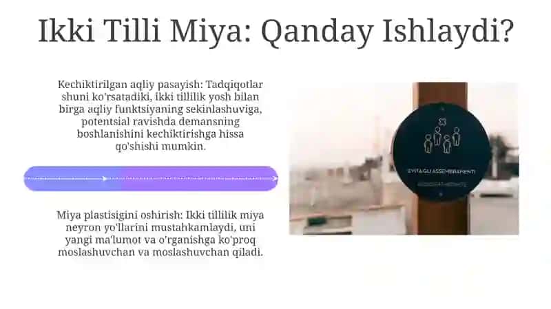 Ikki Tilli Miya 4