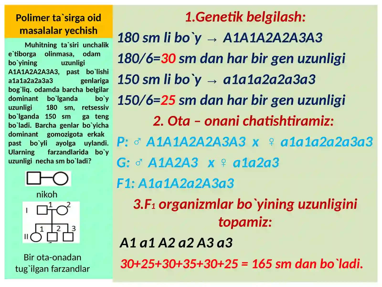 Polimer ta`sirga oid masalalar yechish 4