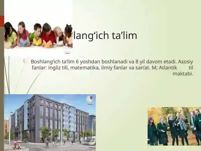 Irlandiyadagi ta’lim jarayoni 4