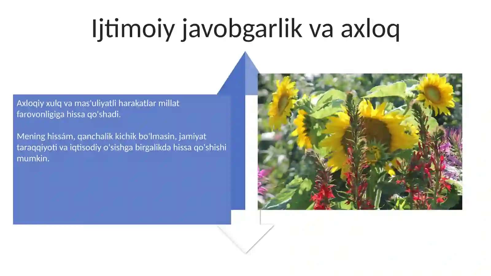 Meniń iqtisodiyotga ta'siri 4