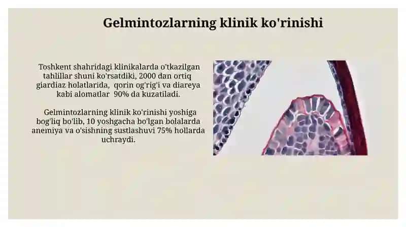 Gelmitologiya 4