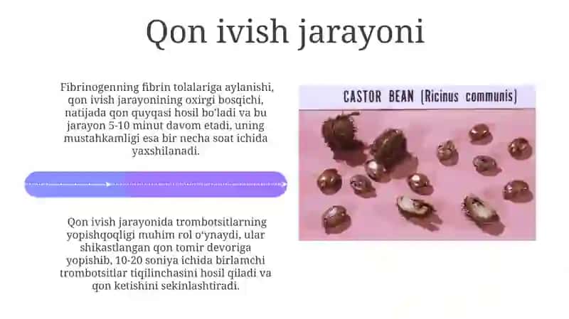 Qon plazmasi oqsillari 4