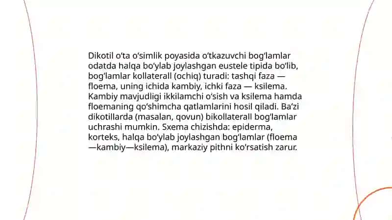 Monokotil oʻsimlik poyasi 4
