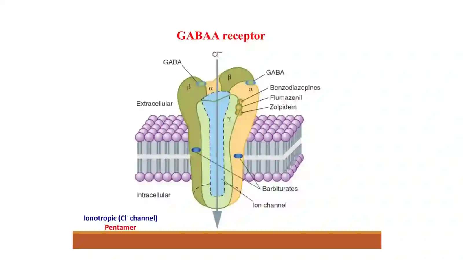 SEDATIV-GIPNOTIK DORILAR 4
