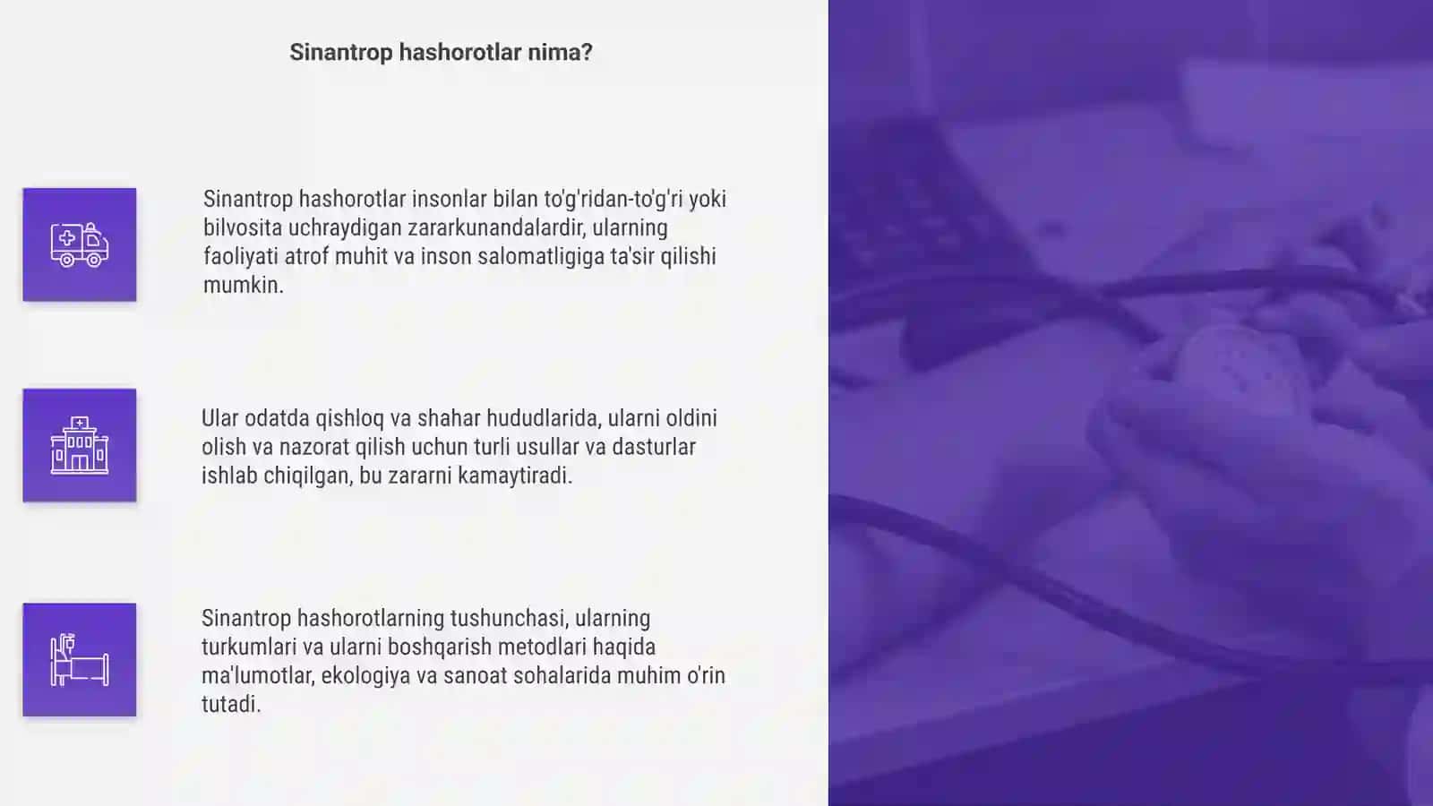 Sinantrop hashorotlar 4