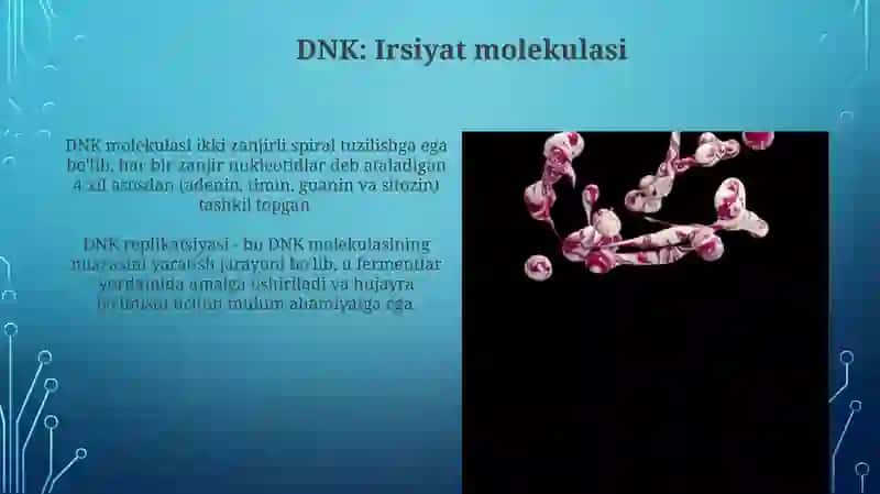 Irsiyatning molekulyar asoslari 4