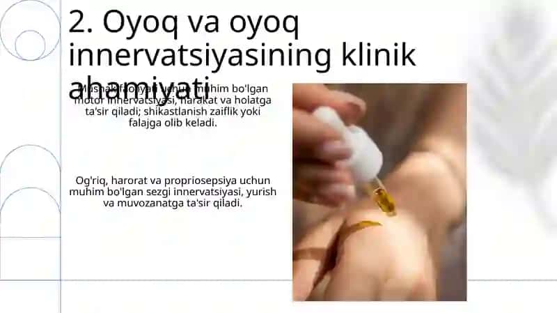 Qól va oyoq terisi innervatsiyasi 4