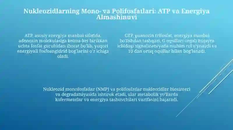 Nukleozidlar va Nukleotidlar 4