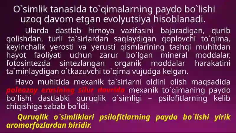 O`simliklar filogenezi 4