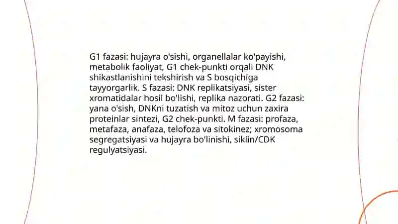 Hujayra sikli va uning davriyligi 4