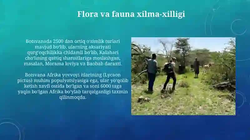 Botsvana ekologiyasivaekoturizmi 4