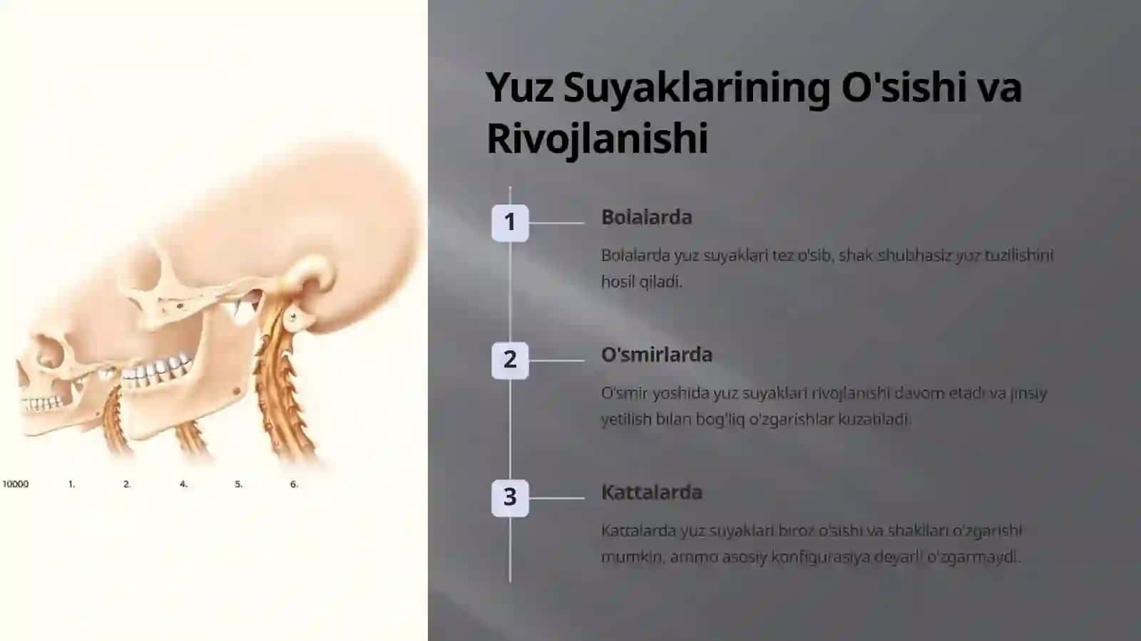 Yuz suyaklari: Yoshga va Jinsga ko'ra farqlari 4