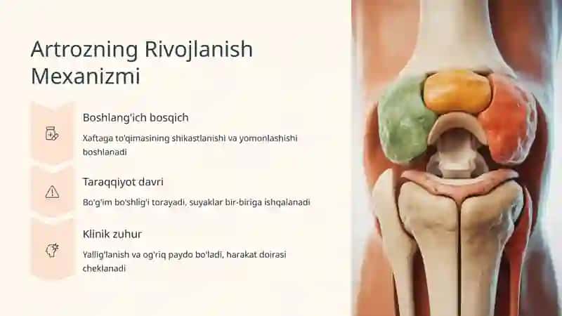 Bo'g'imlarda Artrozlarning Anatomik Asosi 4