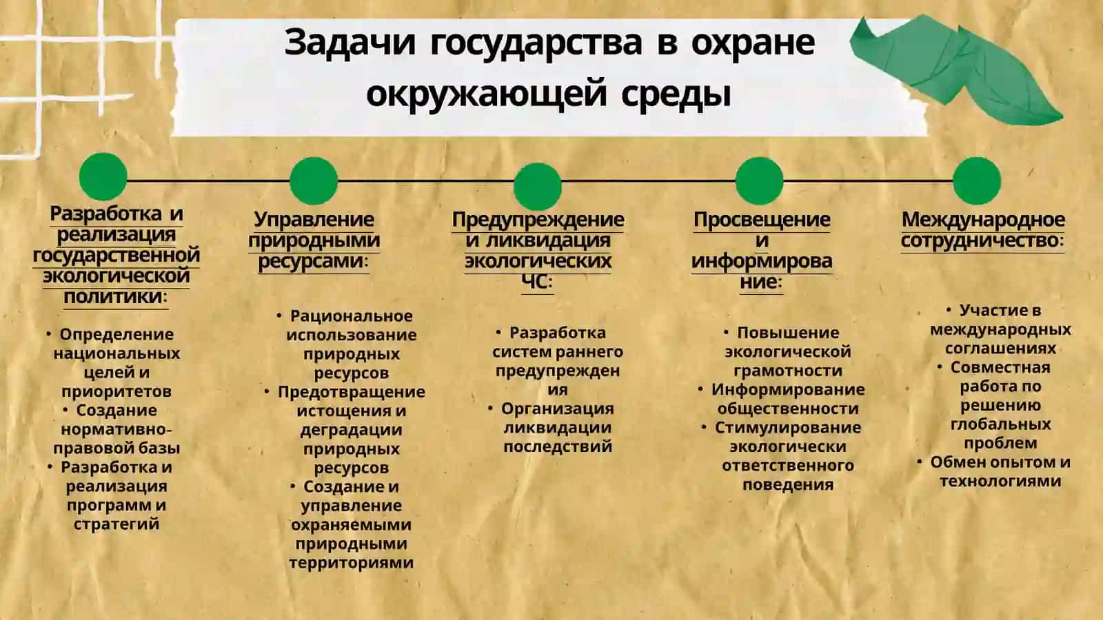 Основные задачи государственной политики в области охраны окружающей среды 4