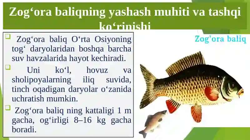 Biologiya 4