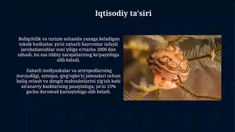 Zaharli molyuskalar va bo‘g‘imoyoqlilar 4