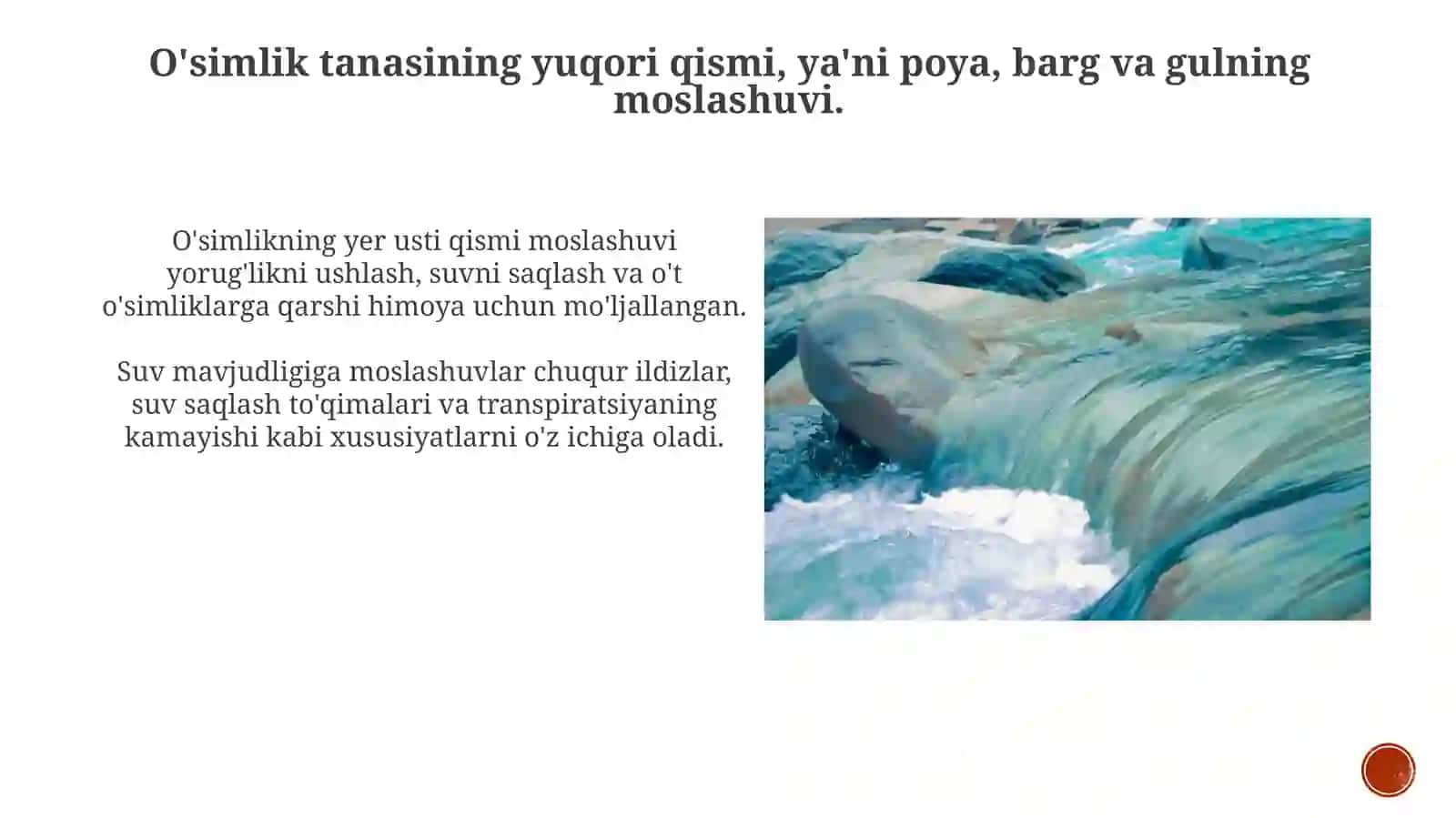 Moslashuvlar 4