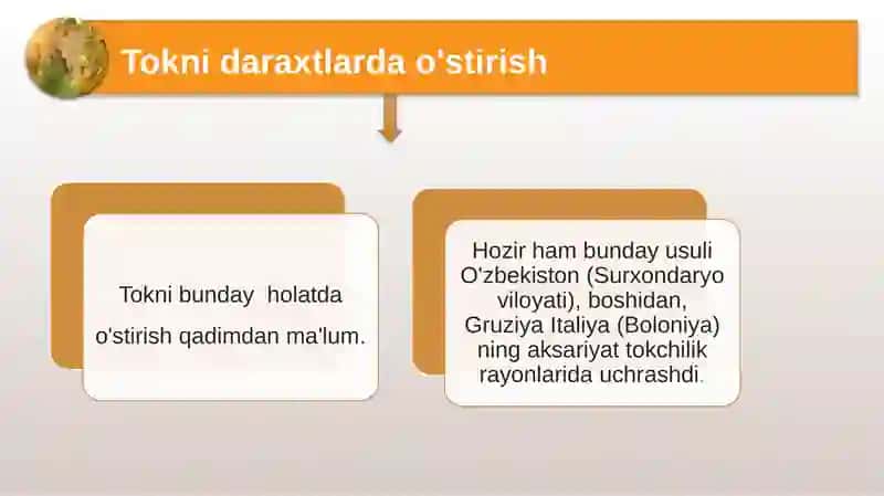Tok oʻstirish usullari 4
