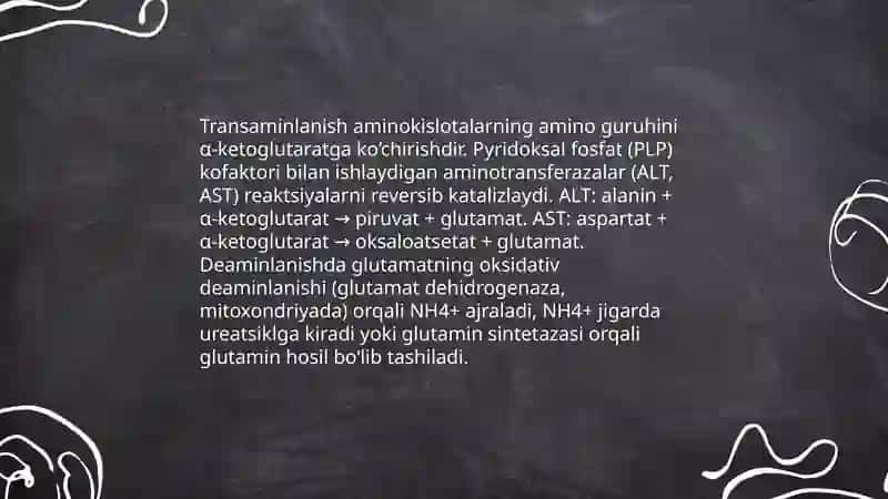 Oqsillar almashinuvi 4