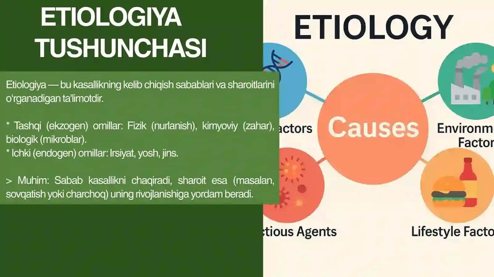 KASALLIK ETIOLOGIYASI, PATOGENEZI, RIVOJLANISHI 4