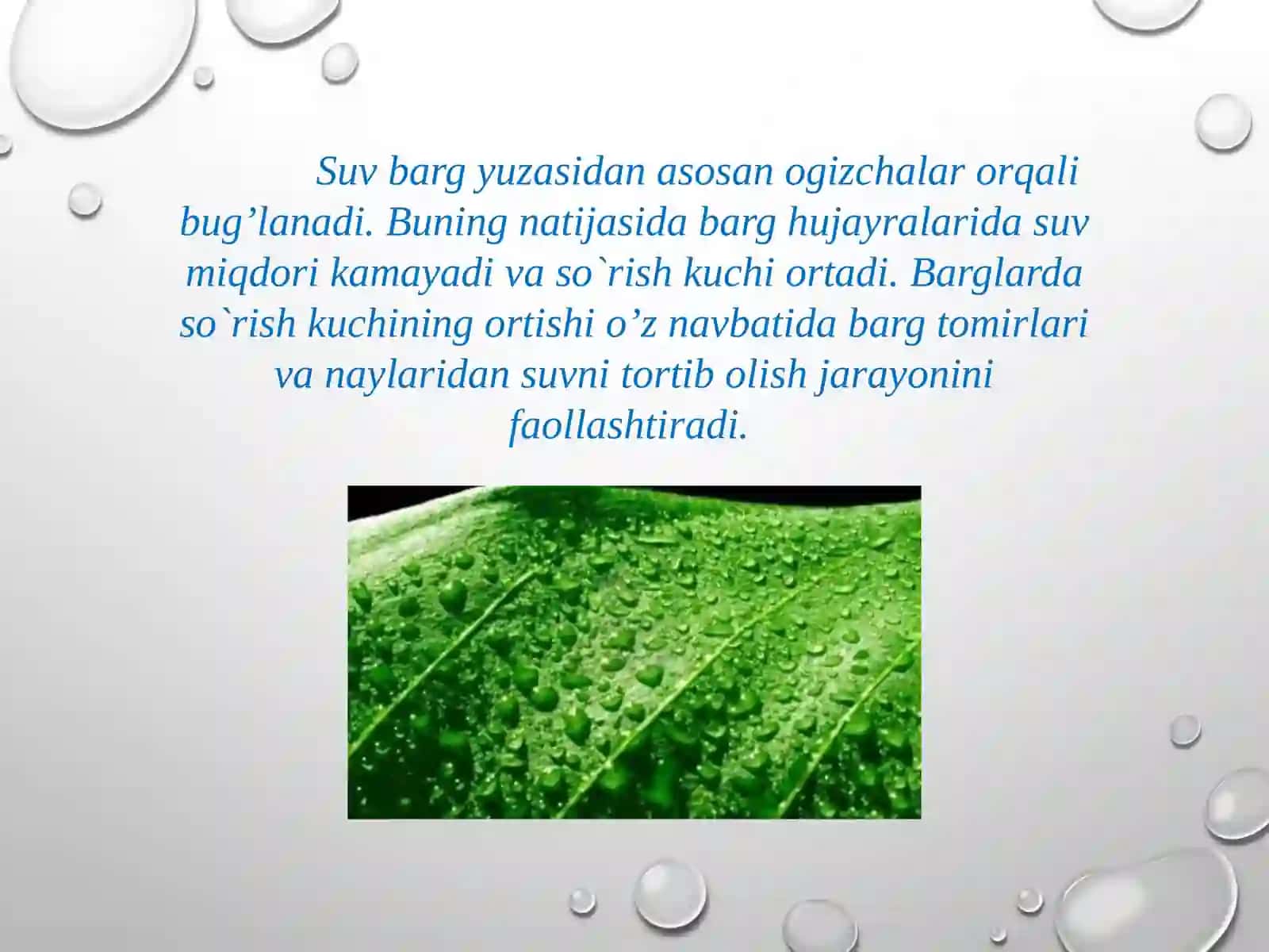 Transpiratsiya xillari uning mehanizmlari 4