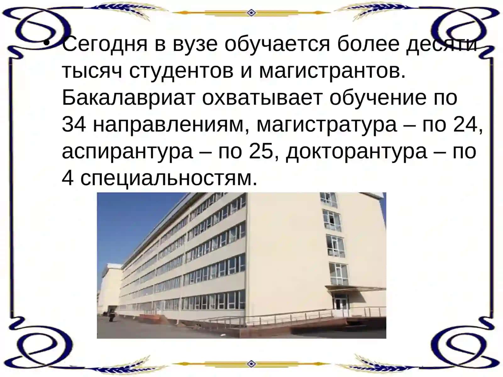 Бухарский государственный университет 4