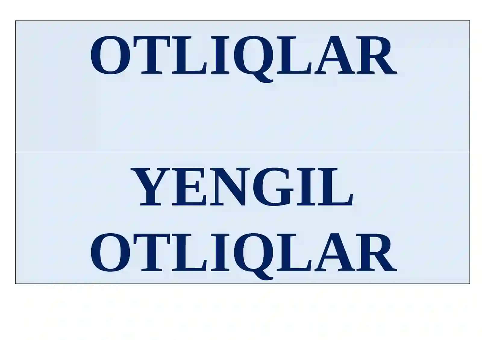 AMIR TEMUR 4