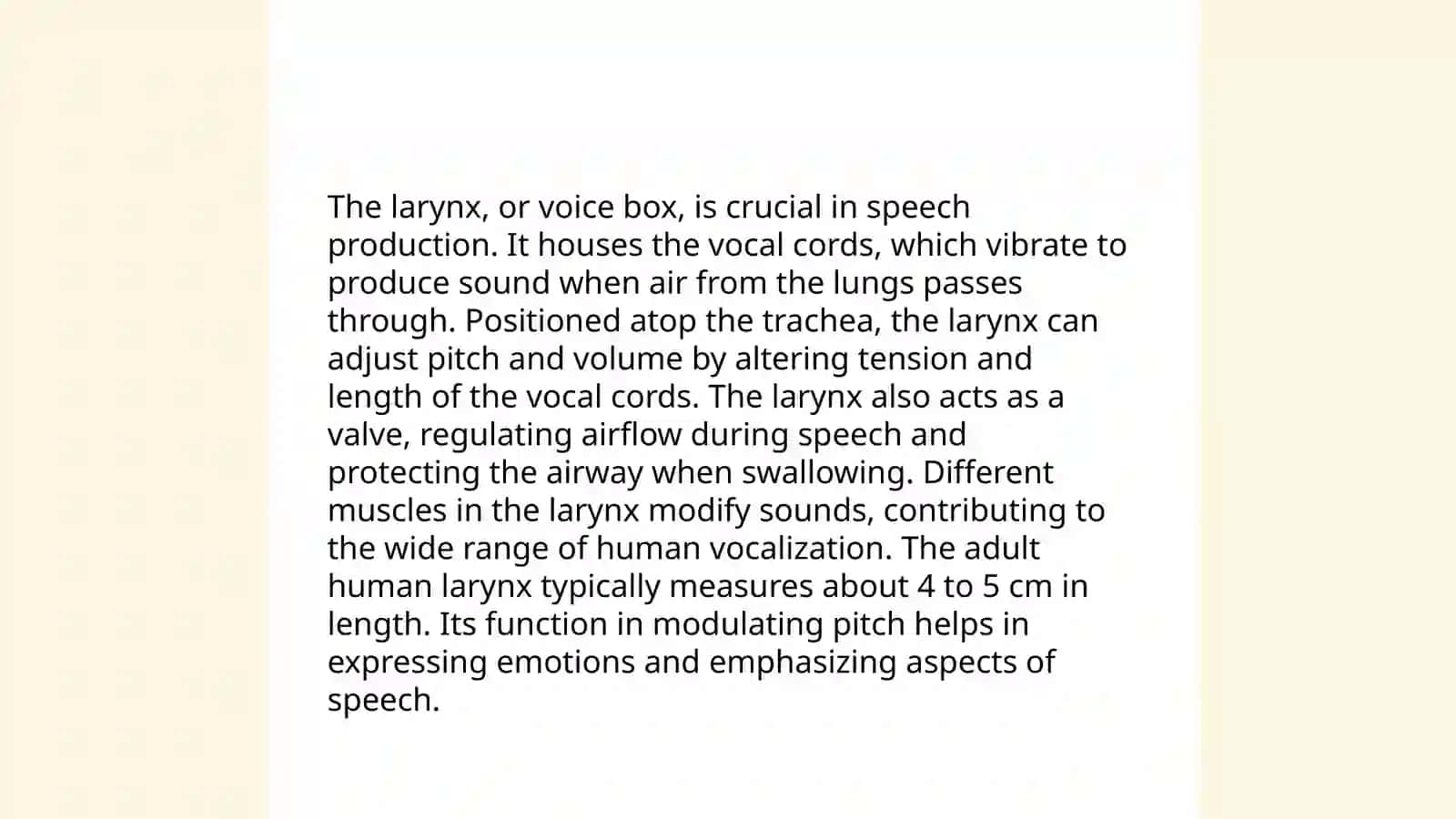Functional anatomy of speech organs 4