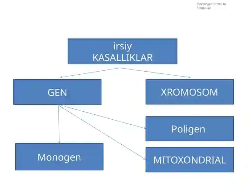 Umumiy genetika ma’ruza mashg’uloti 4