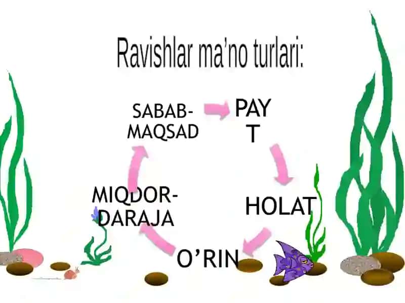 Ravishning ma’no turlari 4