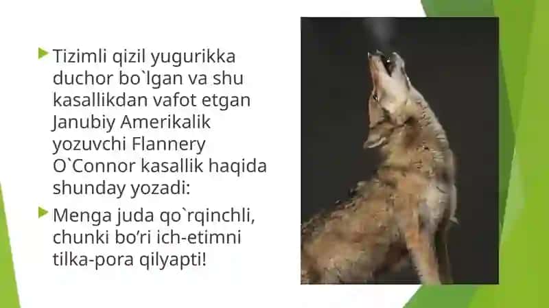 Tizimliqizilyugurik 4
