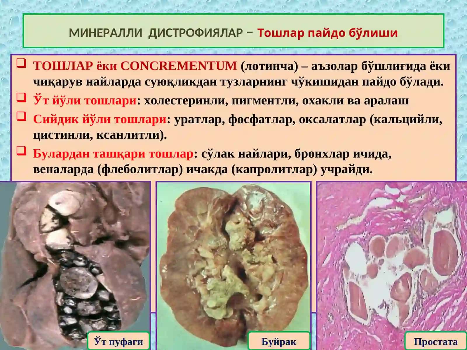Минарал дистрофия. Некроз 4
