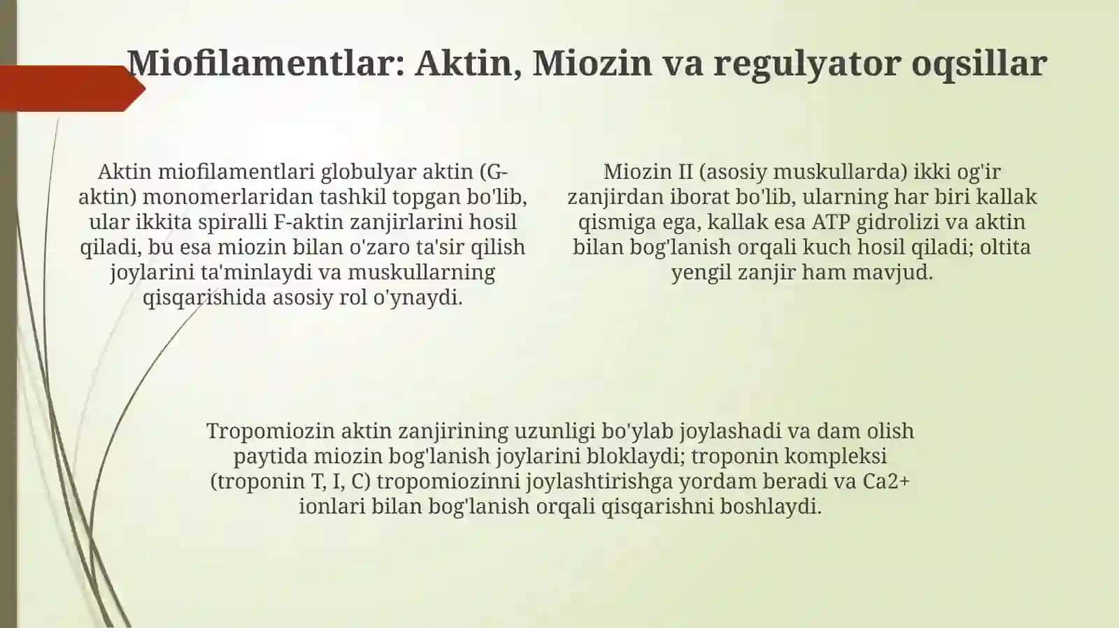 Mushak qisqarish mexanizmining morfologik asoslari 4